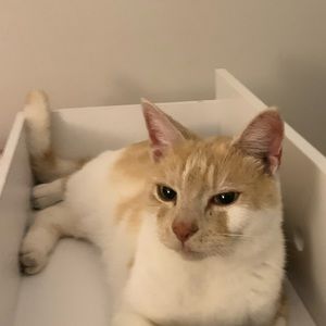 Meet your Posher, Tamarah